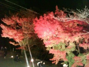 筑波山の紅葉