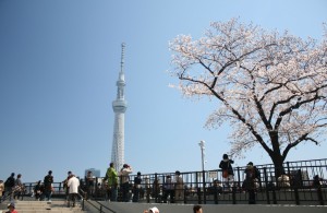 東京スカイツリー